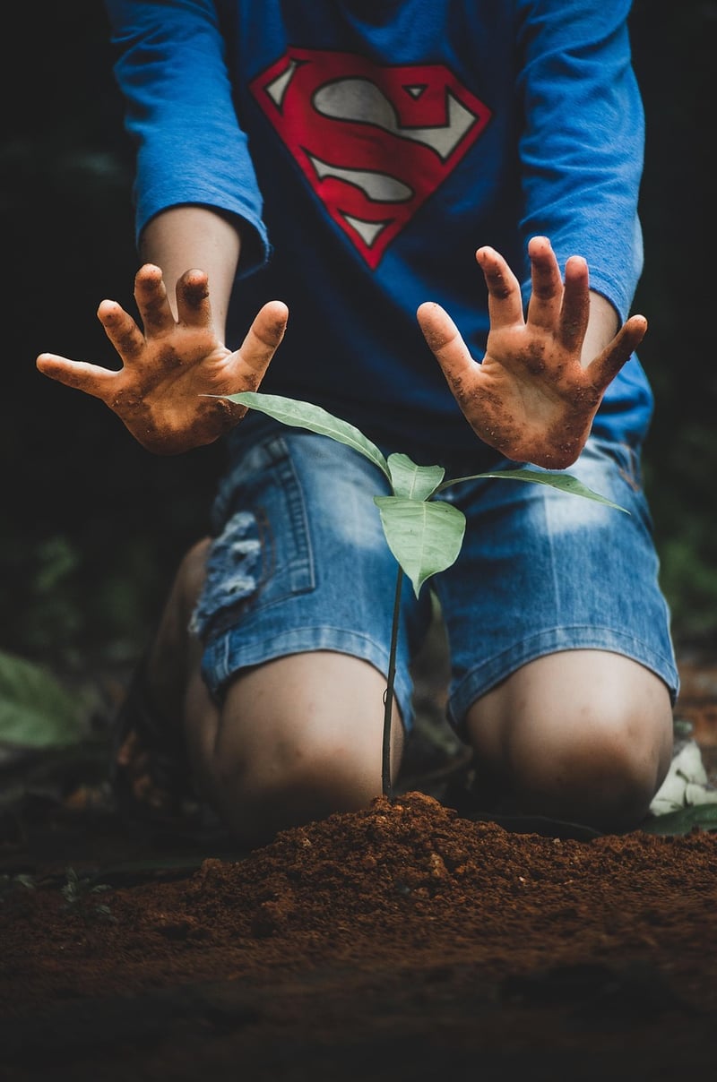 Kids planting a garden